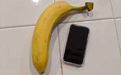 Palm Companion Phone Review